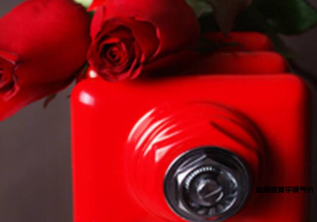 鋼制暖氣片品牌