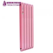 散熱器十大品牌哪家好:使節(jié)能發(fā)揮到極致！