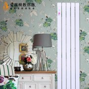 銅鋁復(fù)合暖氣片不熱的處理方法有幾種?