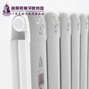 我應該選擇什么樣的暖氣?