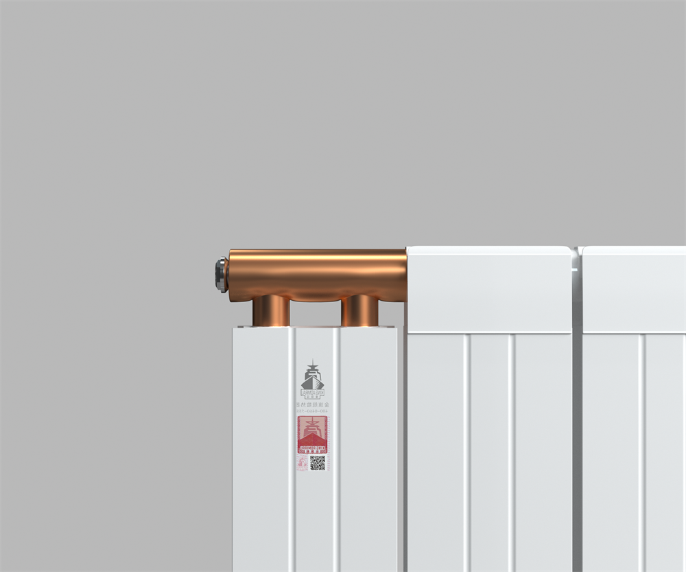 鋼鋁復合暖氣片